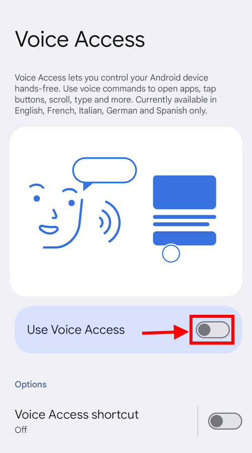 Tap the toggle switch for Use Voice Access